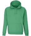 03815 Unisex Condor Hoodie Spring Green colour image
